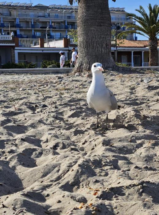 チルチェスHabitacion En Piso Compartido Cerca De Playaアパートメント エクステリア 写真